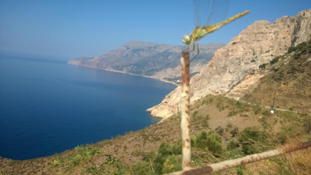 Ikaria Studios Manganitis Ngoại thất bức ảnh